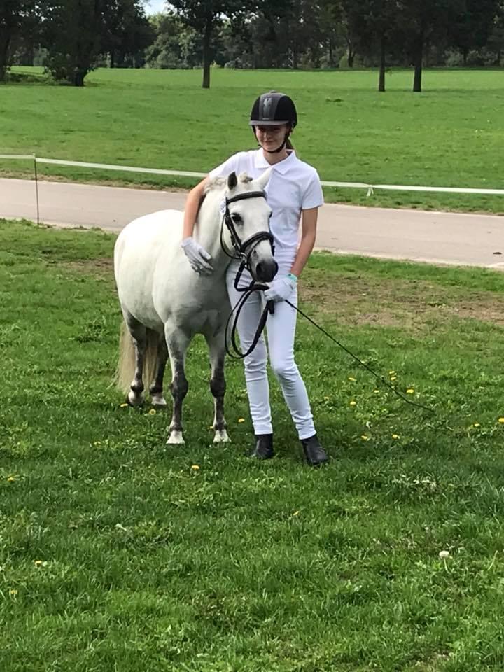 Welsh Mountain (sec A) Team J Nielsen's Felix - SHD 2018 billede 1