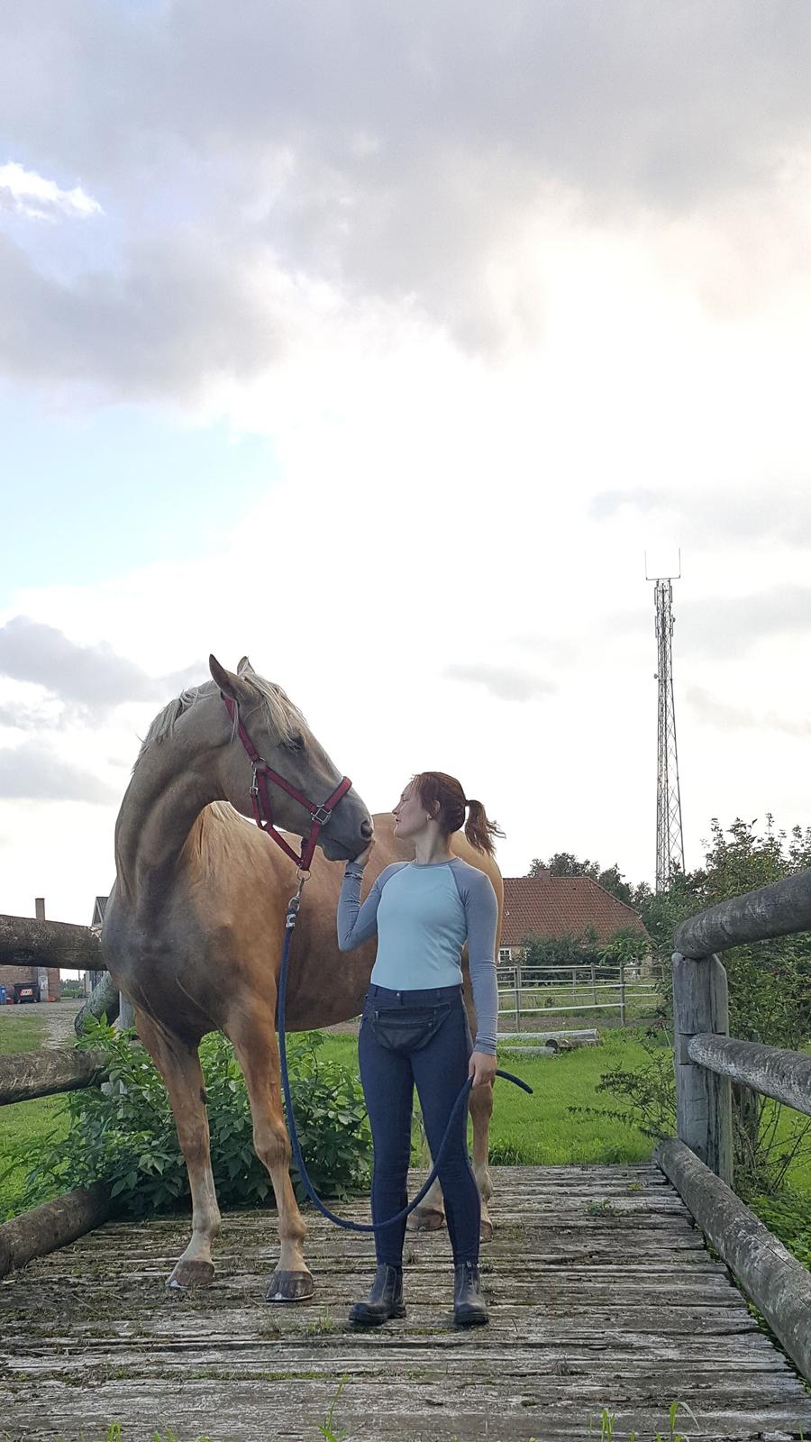 Palomino Matinique billede 18