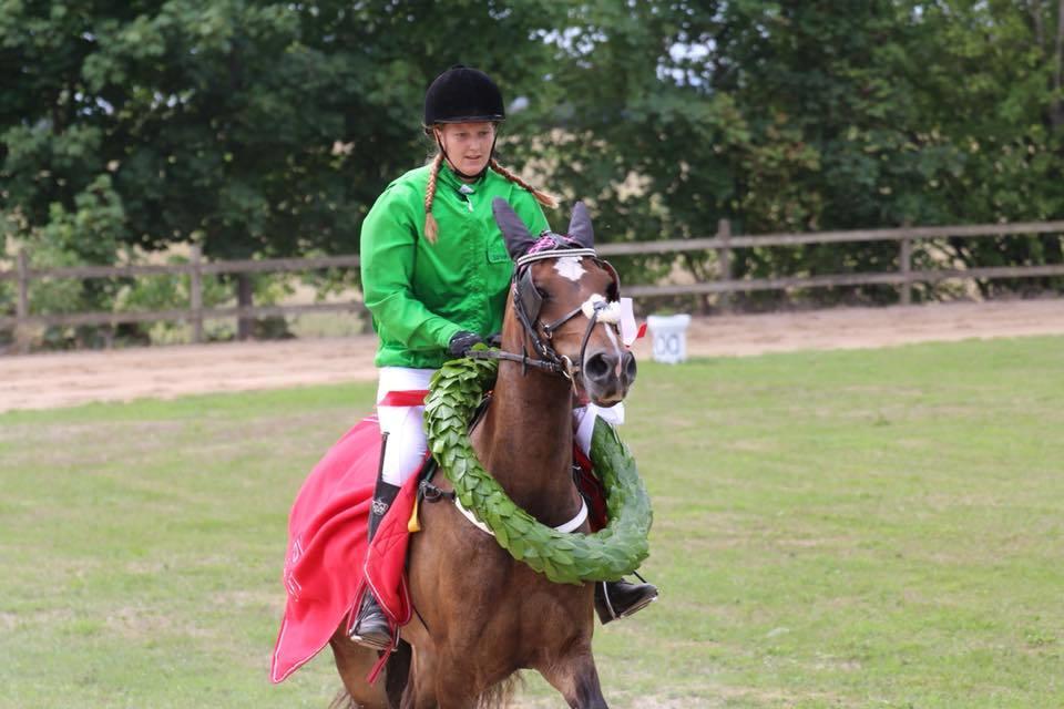 Welsh Cob (sec D) Menai Merci - Vinder Monté Derby 2018  billede 3