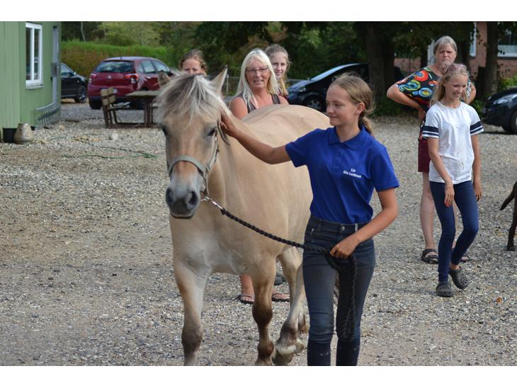 {{currentPhoto.altText}} billede {{currentPhoto.number}}