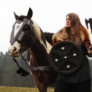 Anden særlig race Sir Louis of Gundelach