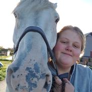 Knabstrupper Leopold