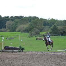 Pinto Elmegårdens Prada