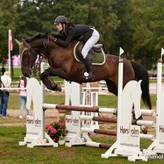 Anden særlig race Egekjaers Casmir