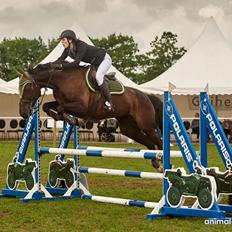 Anden særlig race Egekjaers Casmir