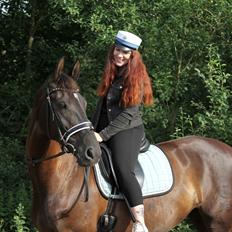 Dansk Varmblod Danheat's Miss Daisy