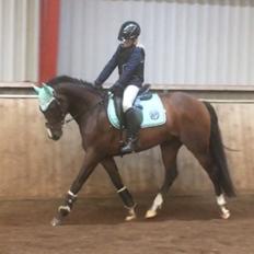 DSP Hesselbjerge's astonmartin