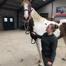 Pinto Whitney lightfoot