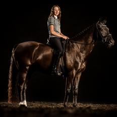 Dansk Varmblod Tranholms Santiago