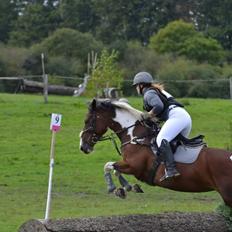 Pinto Elmegårdens Prada