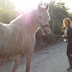 Boulonnais Fleur  SOLGT