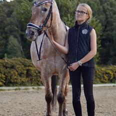 Anden særlig race Little Kahlua