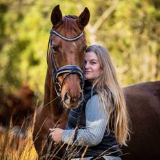 Dansk Varmblod Bona's Fair Lucca