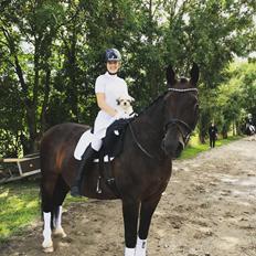 Oldenborg Dixie af Vidkær