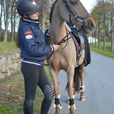 Svensk Sportspony  Casco <3