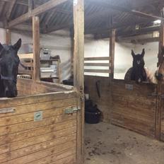 Oldenborg Freiherr af Hvarre