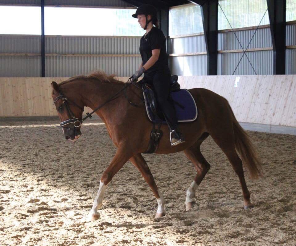 DSP | Fighter Skylight - Sommeren 2018 billede 18