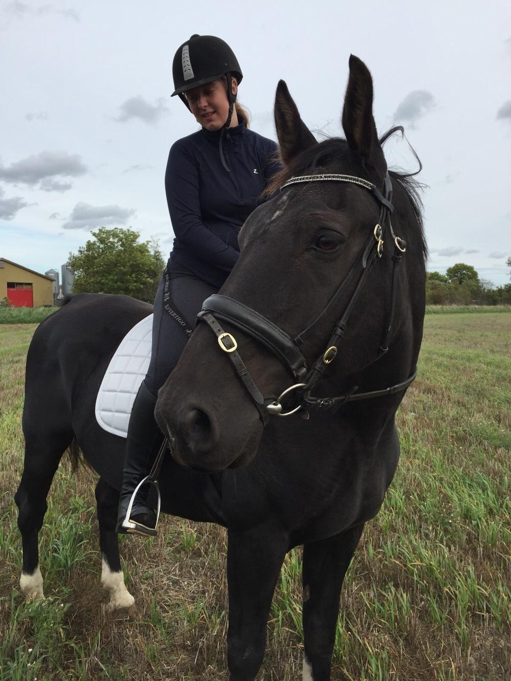 Oldenborg Obelix - Risebjerg billede 4