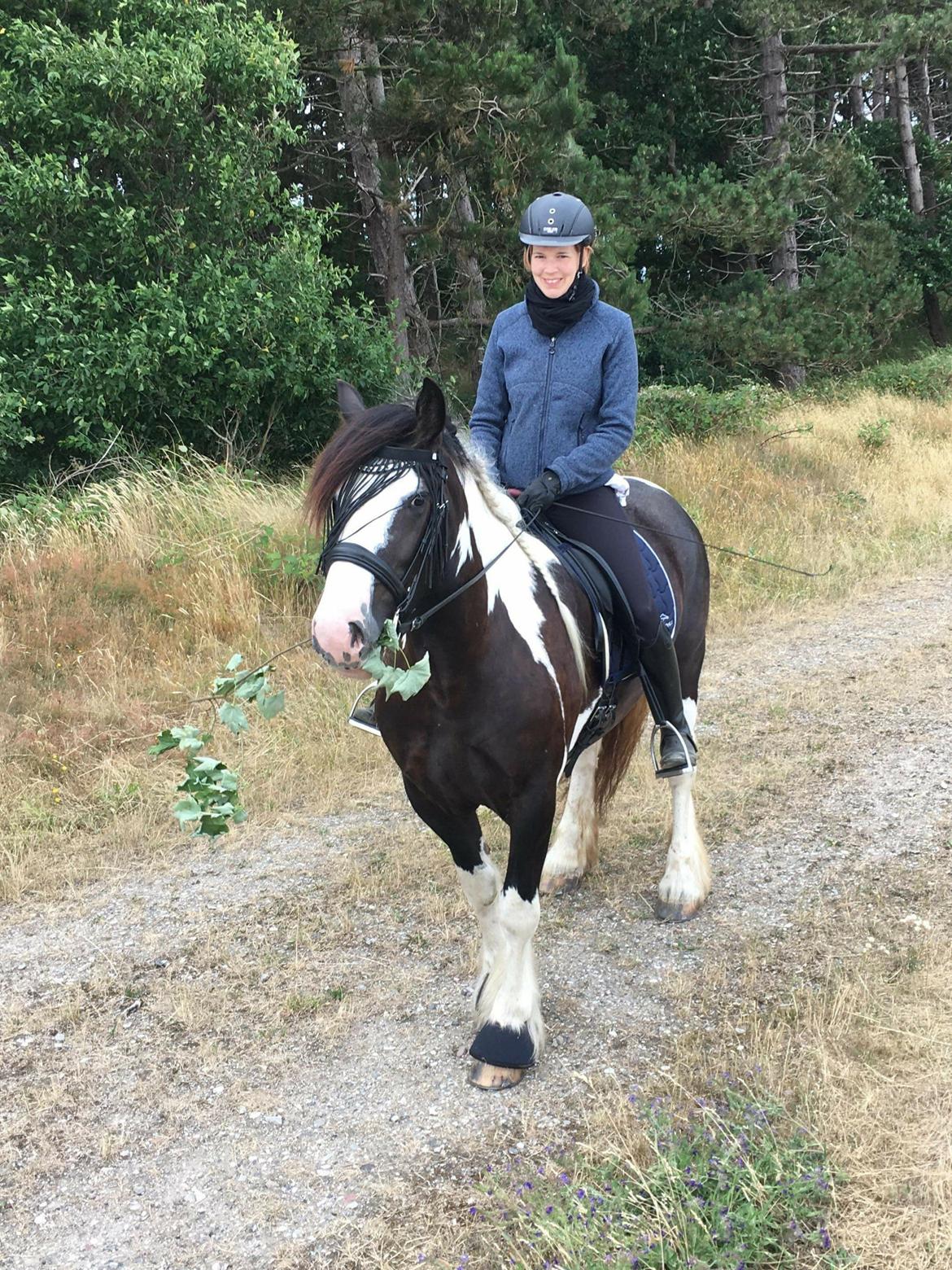 Irish Cob Mary's Prinsess by Lovecob - Sommerferie med Prinsessen  billede 17