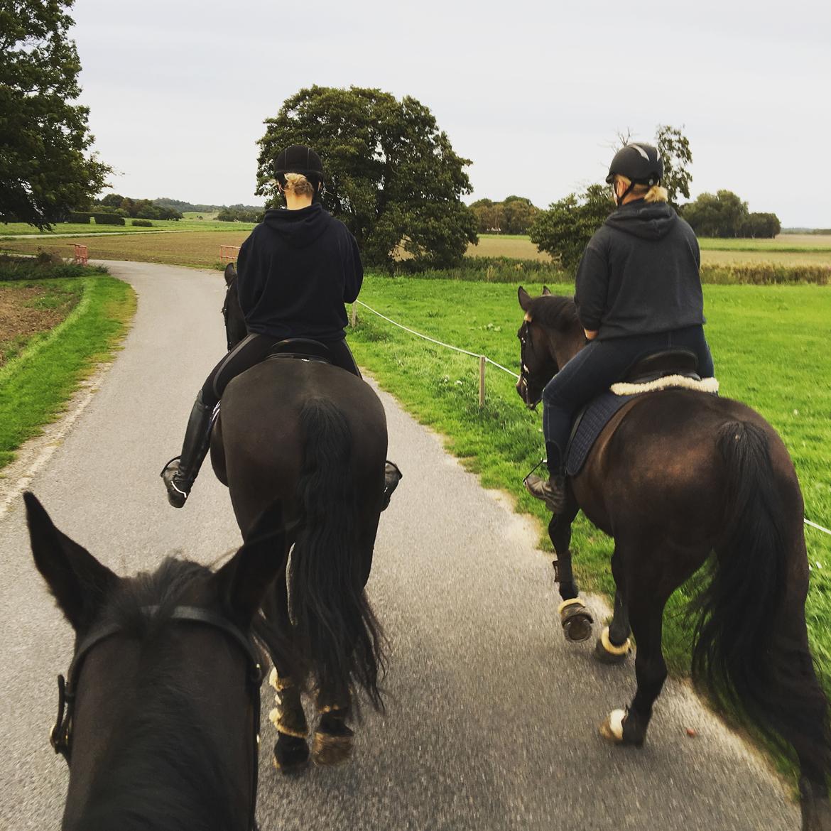 Traver Grace Danita billede 12