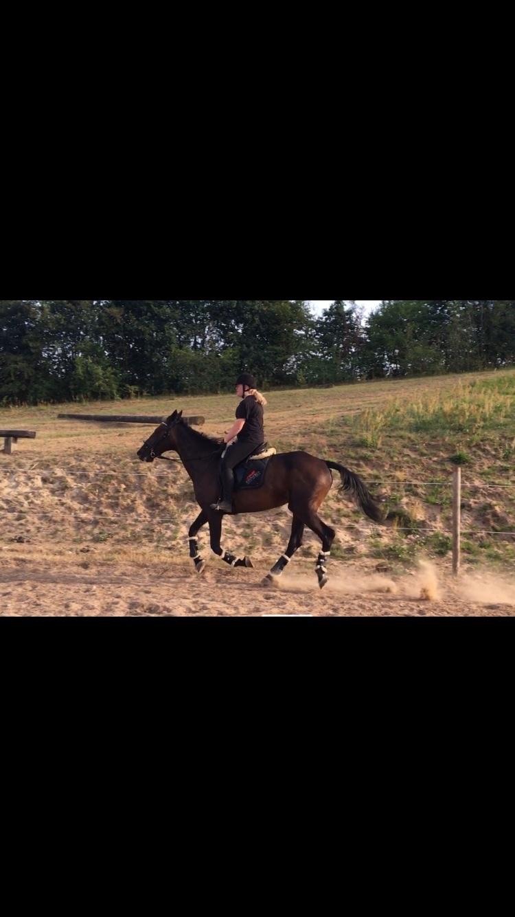 Traver Grace Danita billede 20