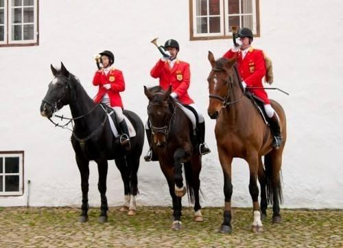 Dansk Varmblod Cheval billede 10