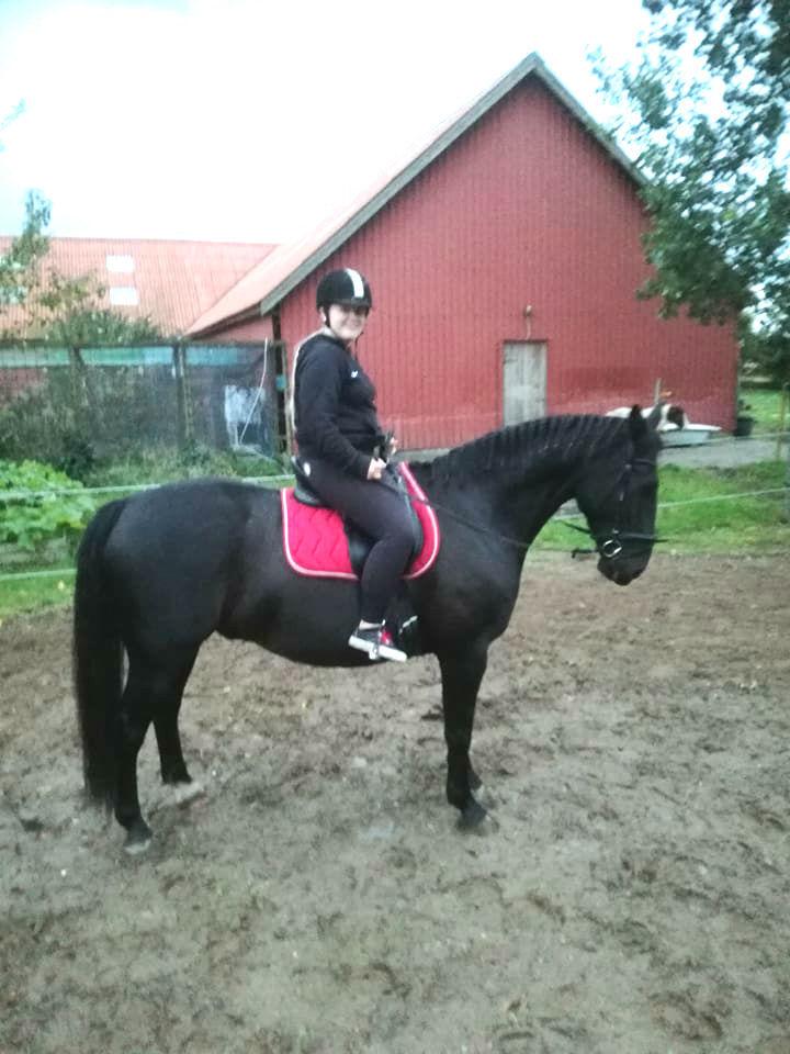 Oldenborg Bolero - Min veninde Trine fik lov til at skridte Leo, i mens jeg red Casio billede 13