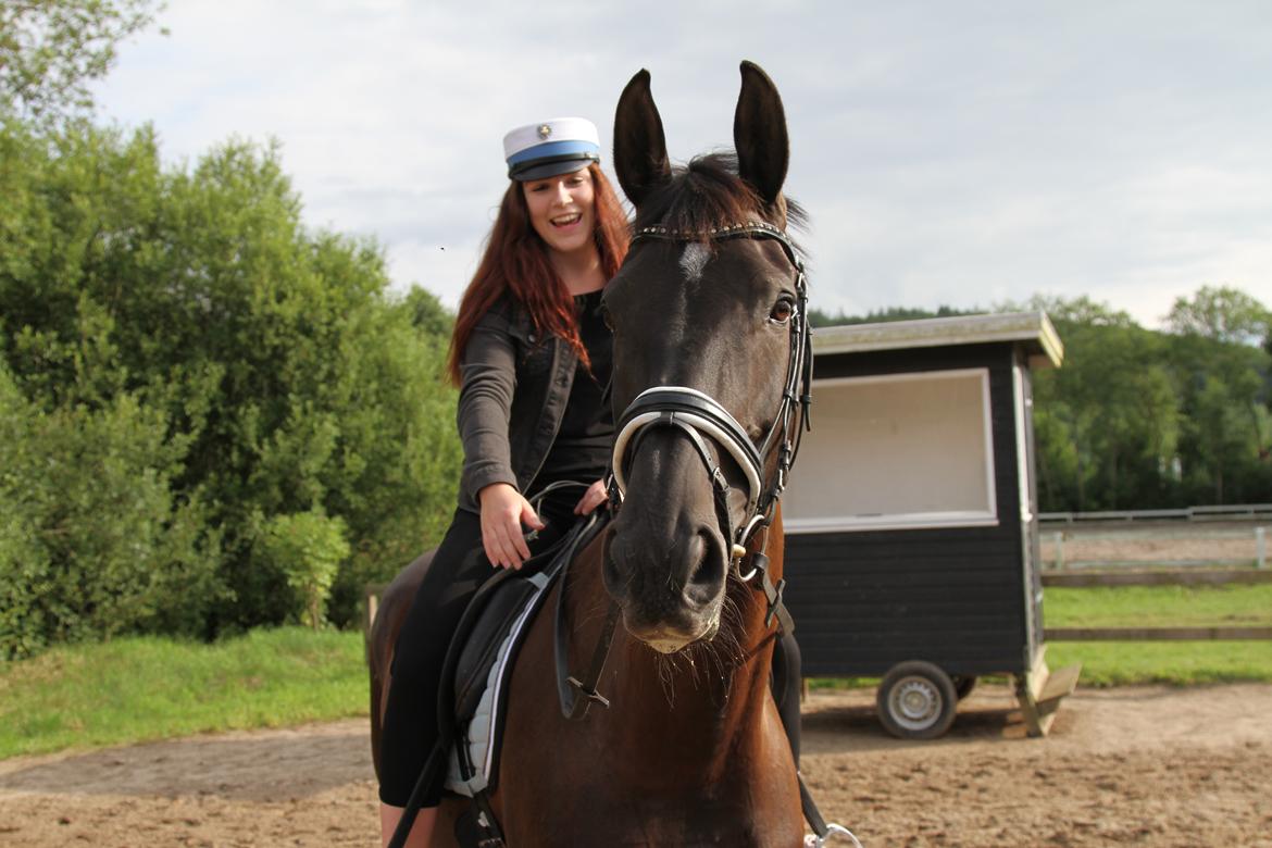 Dansk Varmblod Danheat's Miss Daisy billede 5