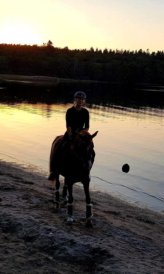 Anden særlig race Magnolias Jessica billede 7