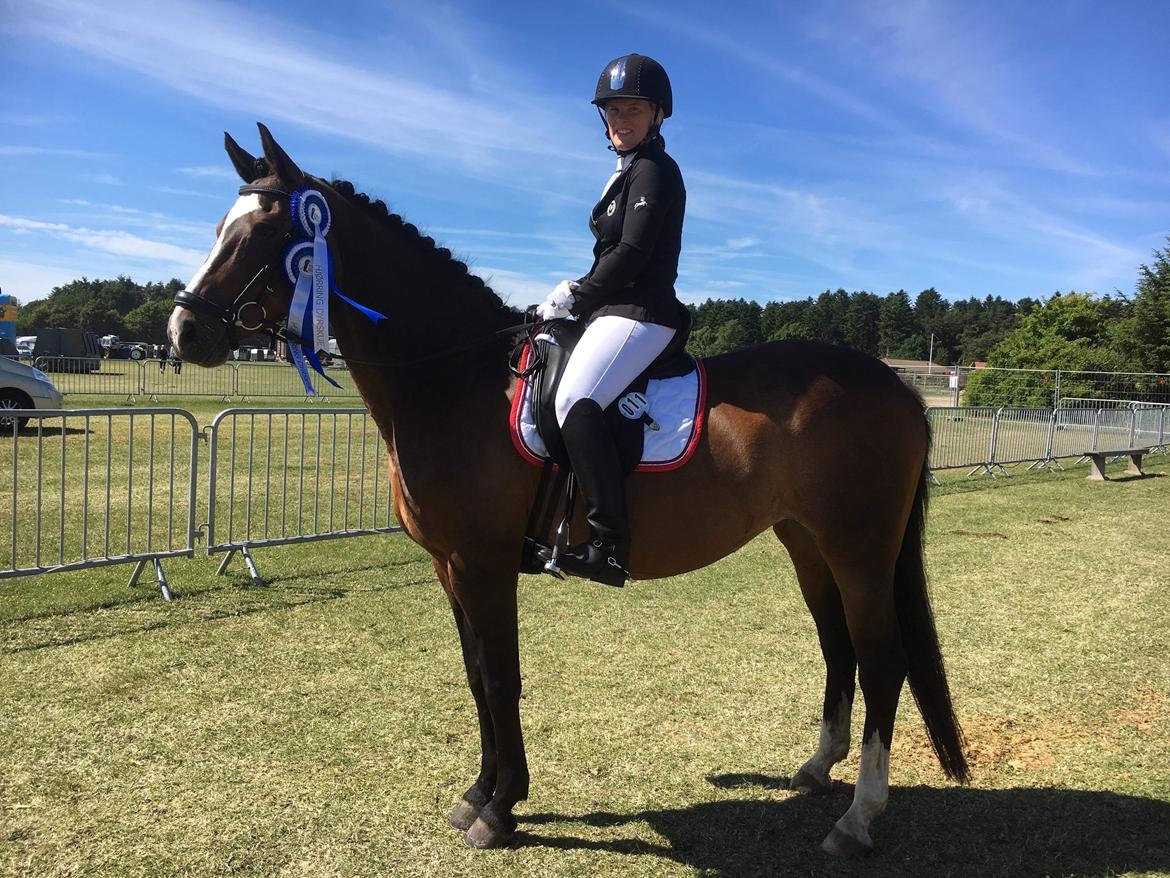 Dansk Varmblod Rozquikkie sonéca billede 16