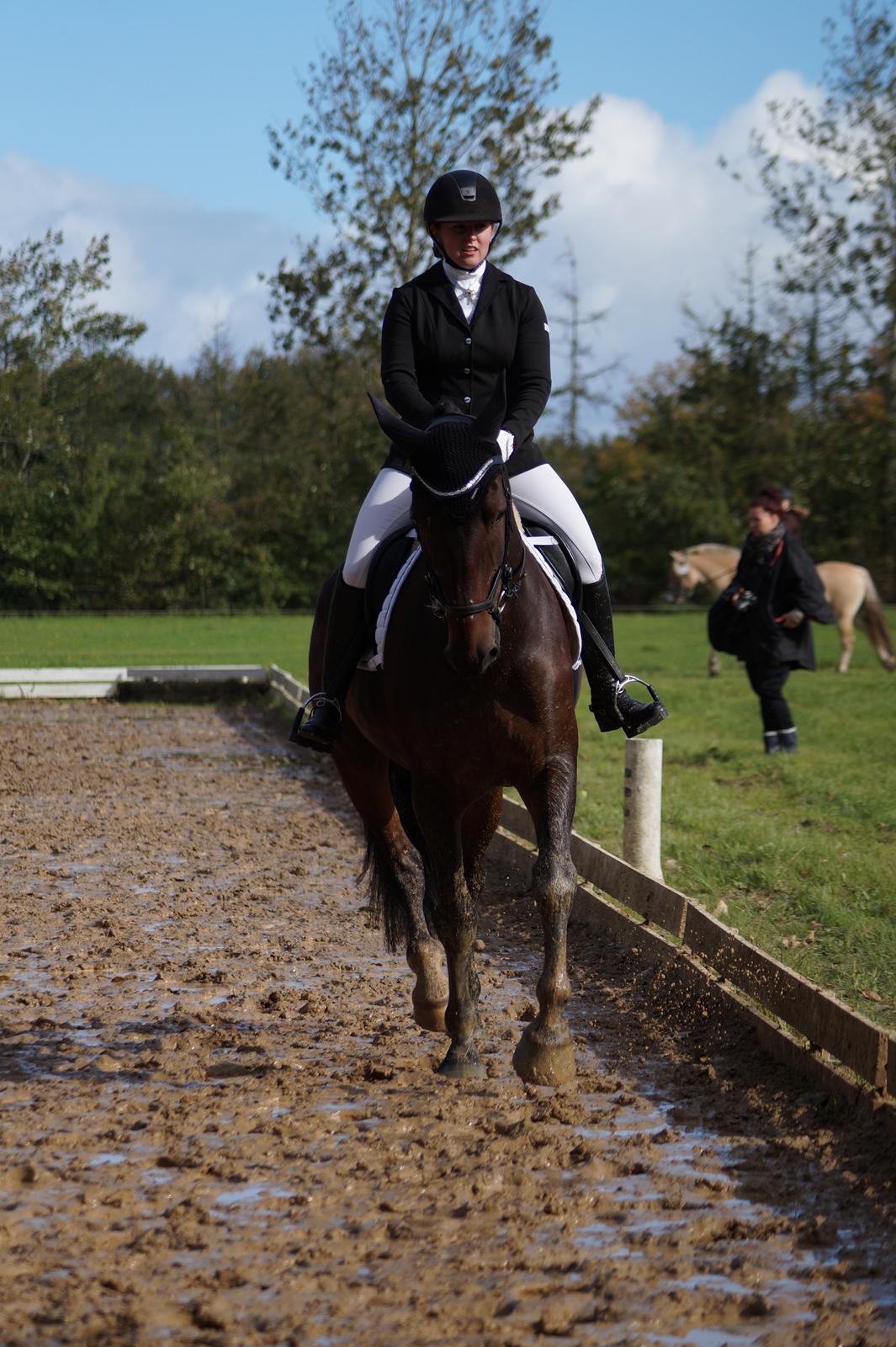 Oldenborg Cornett  billede 29