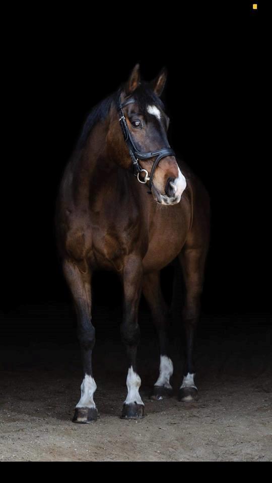 Holstener Kiss Me Quick - Taget af: Freja Maria Photo billede 6