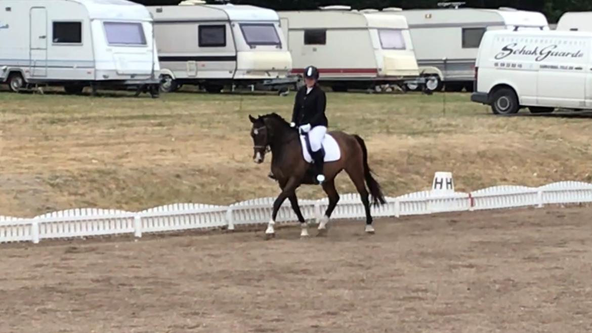 Holstener Kiss Me Quick billede 8