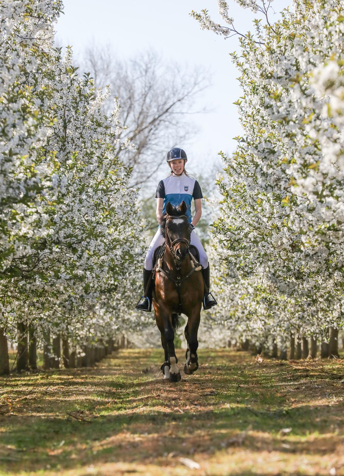 DSP Præst's zedan billede 6