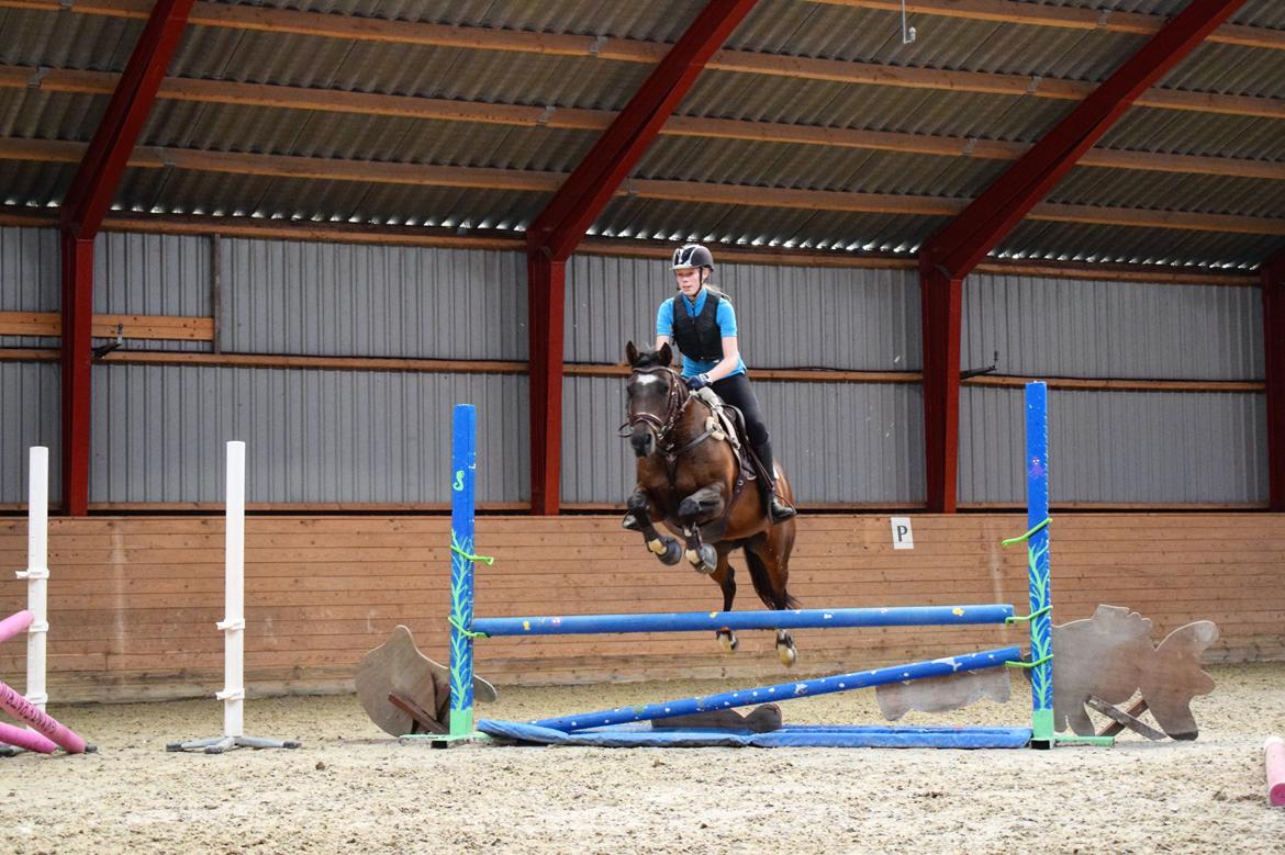 DSP Præst's zedan - Spring med Andreas kunnemann billede 5