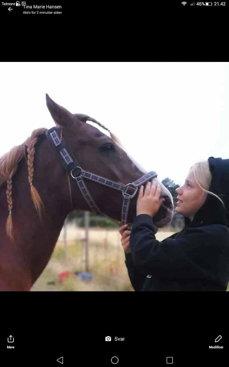 Anden særlig race Tjalfe (død) billede 1