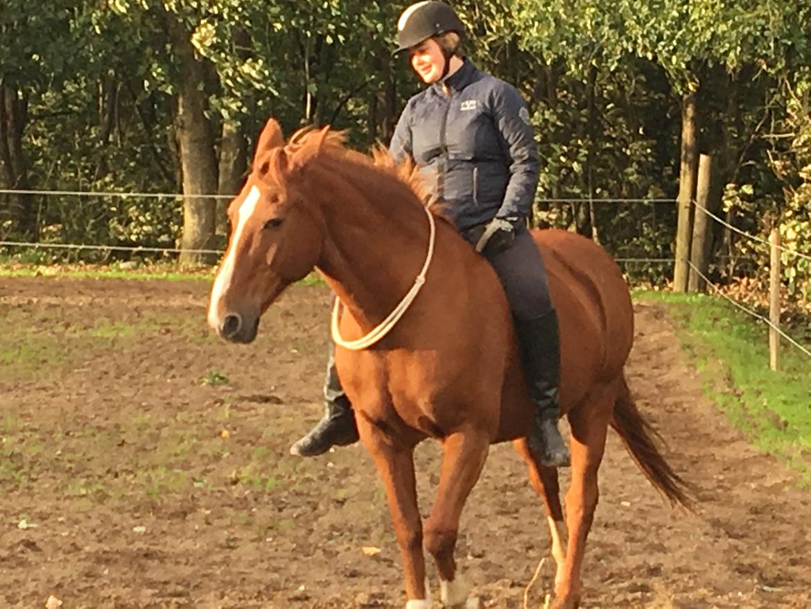 Frederiksborg Casio - Casio og jeg er begyndt at ride i cordeoen uden en nødbremse (hovedtøjet) september 2018 billede 13