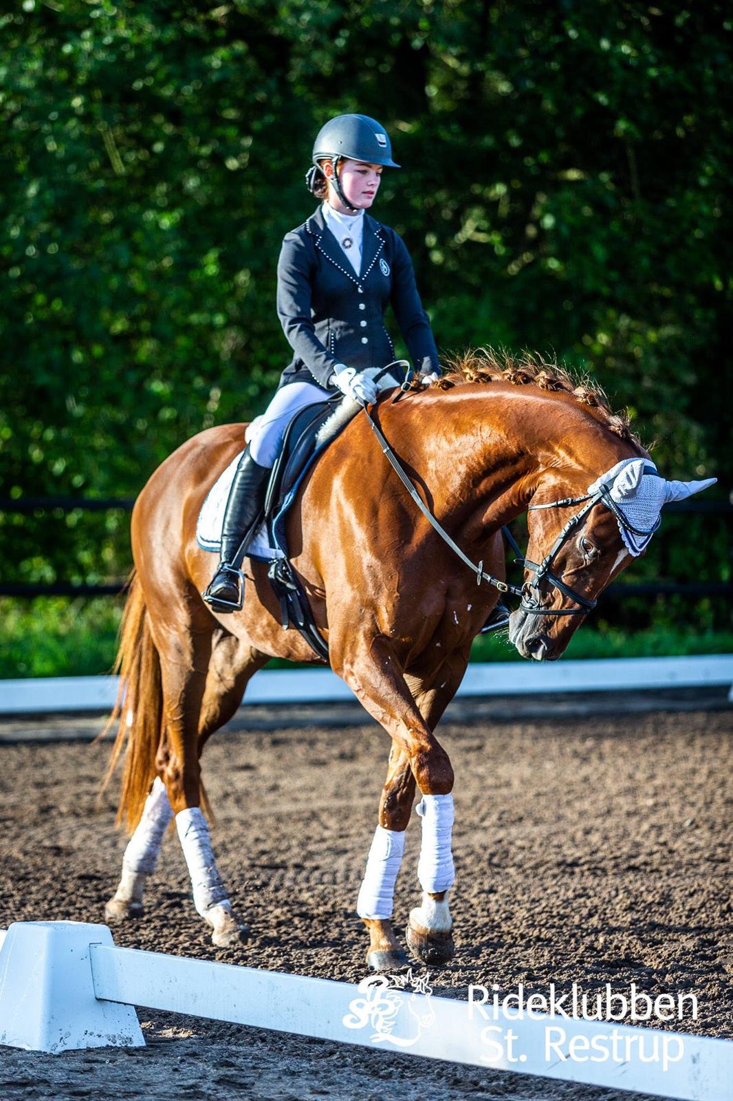 Anden særlig race Nekoline af Sulsted billede 1