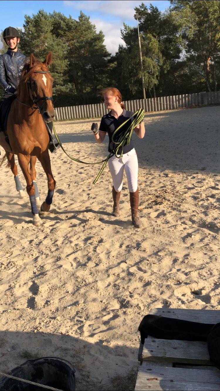 Anden særlig race Nekoline af Sulsted billede 5