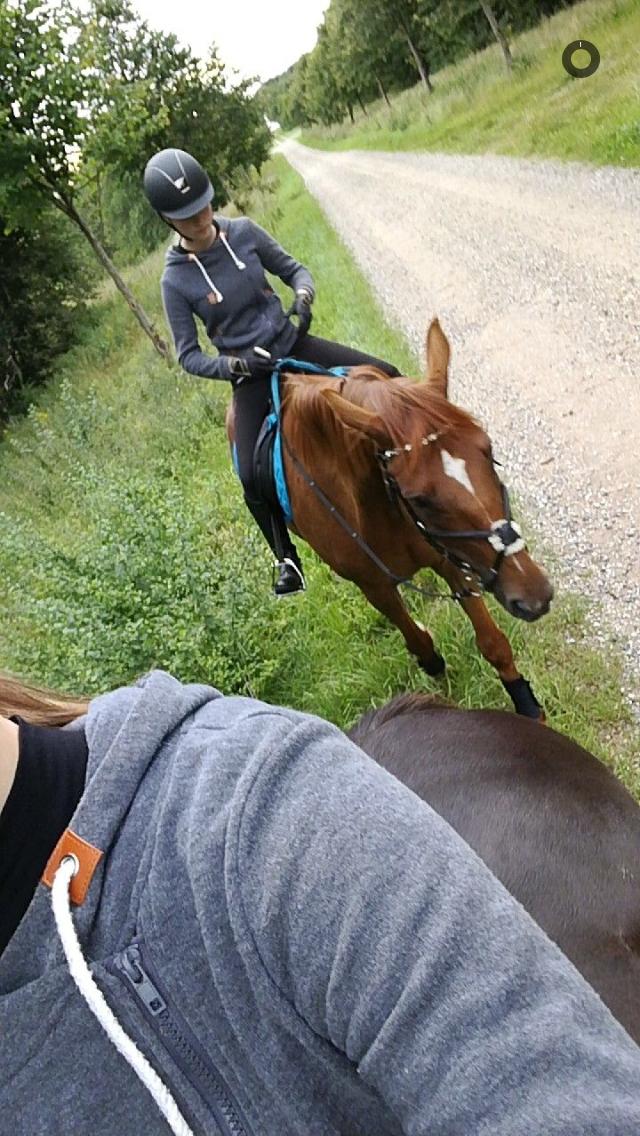 Anden særlig race Nekoline af Sulsted billede 9