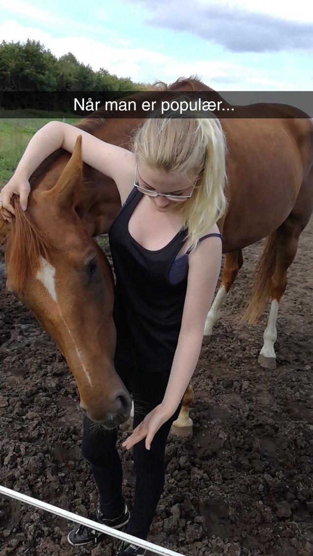 Anden særlig race Nekoline af Sulsted billede 10