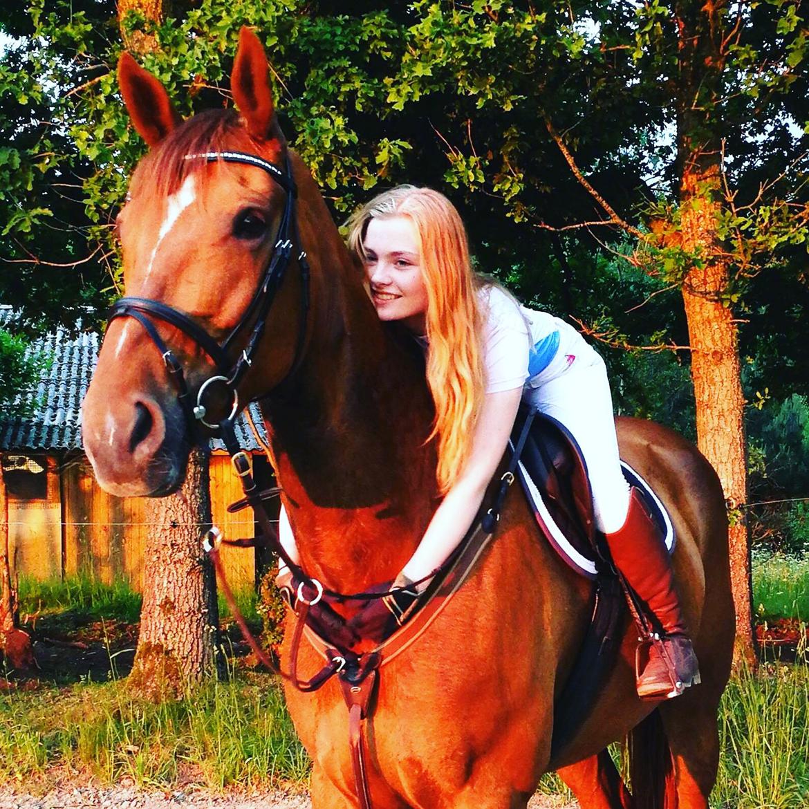 Anden særlig race Nekoline af Sulsted billede 18