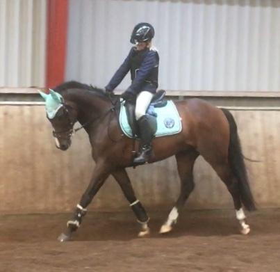 DSP Hesselbjerge's astonmartin - Al begyndelse er svært.... billede 2