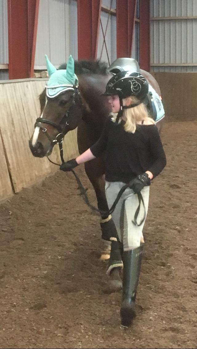 DSP Hesselbjerge's astonmartin - Lærer lige hinanden at kende... billede 3