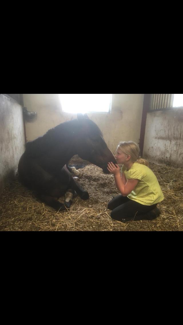 DSP Hesselbjerge's astonmartin - Kærlighed ved første blik 😍 billede 7