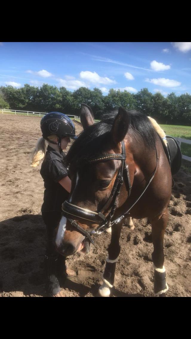 DSP Hesselbjerge's astonmartin - Der skal være styr på det hele... billede 8