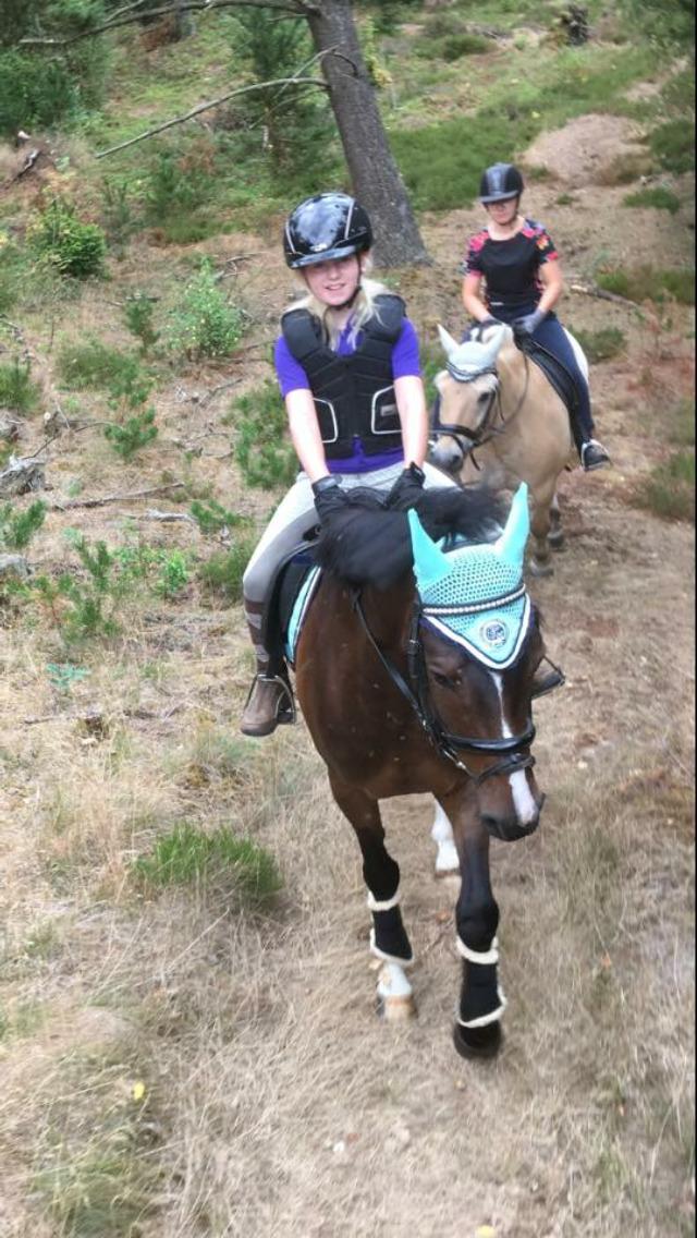 DSP Hesselbjerge's astonmartin - Første tur i skoven sammen billede 9