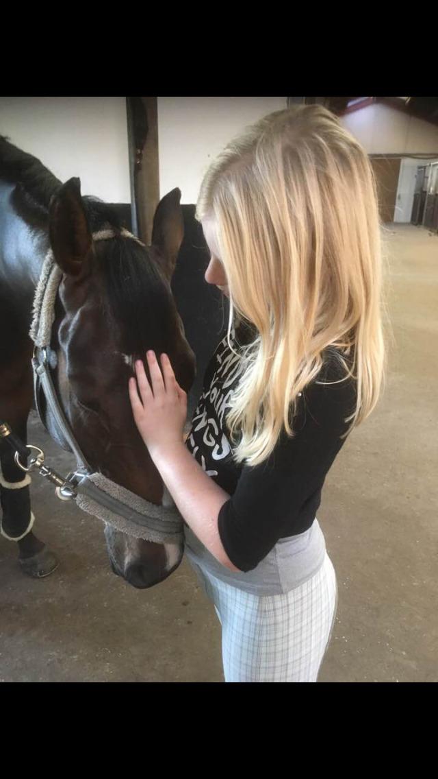 DSP Hesselbjerge's astonmartin - Tak for en fantastisk undervisningstime  billede 10