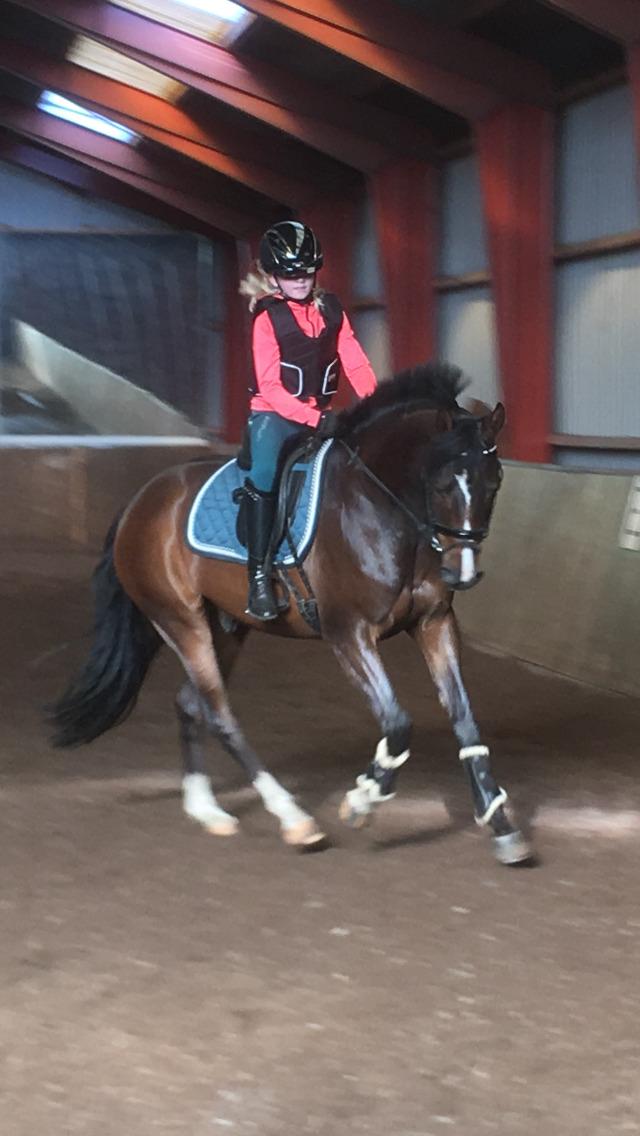 DSP Hesselbjerge's astonmartin billede 13