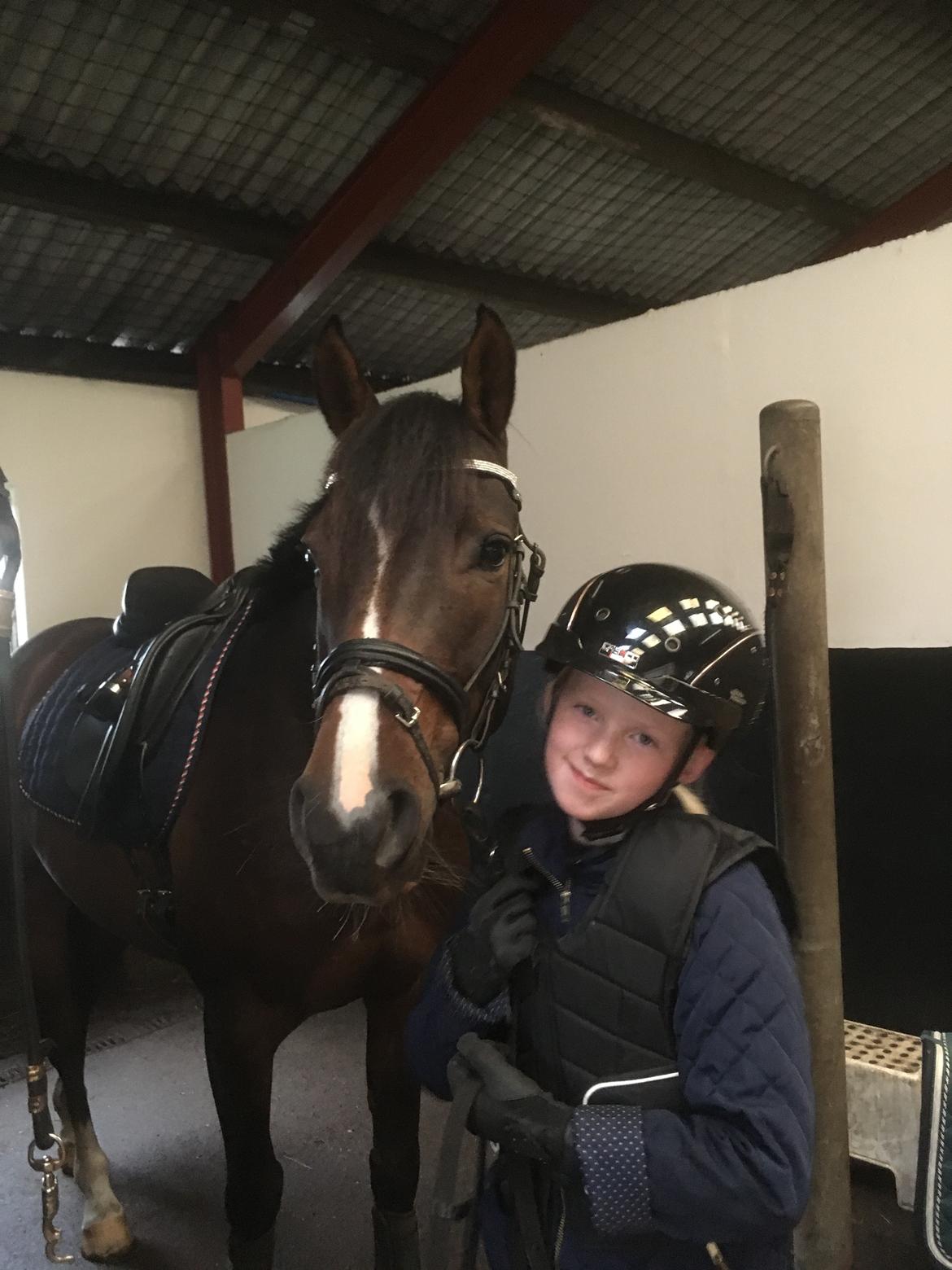 DSP Hesselbjerge's astonmartin billede 14